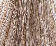 Gisela Mayer Palma Mono Lace Perücke: 101-60-51-beige-grau-weiss-silbergrau-mit-20-grau