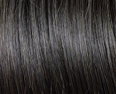 Gisela Mayer Pony 166 Long Echthaar Haarteil 10 x 5 cm: l2