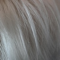 Gisela Mayer Shorty Mono Lace klein Perücke: gl23-101-lichtblond-beige-grau