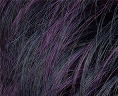 Black violet