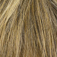 Fancy Hair Vista Perücke: 24-18t