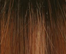 Fancy Hair Mason Perücke: cinnamon-spice