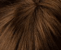 Gisela Mayer Ginger Mono Lace Small klein Perücke: l8-dunkelblond