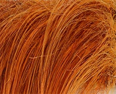 Gisela Mayer New Cool Mono Lace Perücke: 1002f-new-orange-red