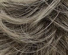Dening Hair Saskia klein Perücke: 10-26-10