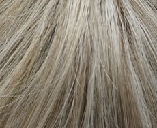 Dening Hair Jenny Mono SF Perücke: 101-14-14