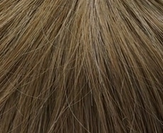 Dening Hair Saskia klein Perücke: 12-14