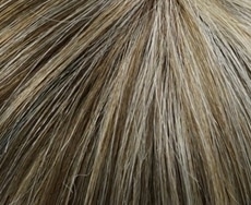 Dening Hair Power Mono Perücke: caramel-18-24