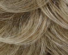 Dening Hair Lisa klein Perücke: 24r