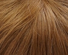 Dening Hair Power Mono Perücke: 27-30-33