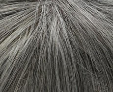Dening Hair Olympia Mono SF Perücke: 44-101