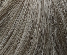 Dening Hair Olympia Mono SF Perücke: 45-36-39