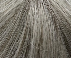 Dening Hair Luna Mono SF Perücke: 56-53-39