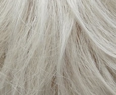 Dening Hair Jenny Mono SF Perücke: 60-w