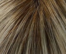 Dening Hair Melissa Mono Perücke: champagne-root-22h-22root12