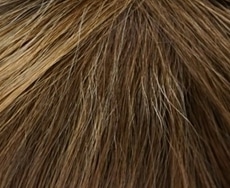 Dening Hair Luna Mono SF Perücke: chocolate-cream-root-10-27-20root10