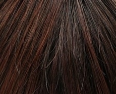 Dening Hair Lisa klein Perücke: terracotta-root