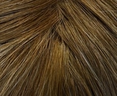 Dening Hair Lady Mono SF Perücke: vanilla-root