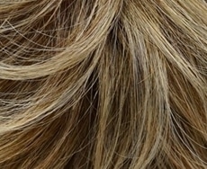 Dening Hair Carina Small klein Perücke: chardonnay-root