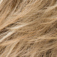 Ellen Wille Effect Haarteil 17 x 18 cm: caramel-mix