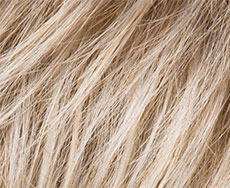 Ellen Wille Matrix Haarteil 17 x 16 cm: sandyblonde-rooted