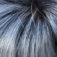 Fancy Hair Blossom Perücke: l2-60v-r