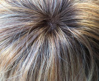 Fancy Hair Bluebell Perücke: l6-70-23rt