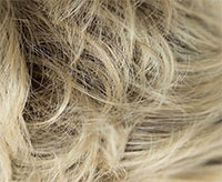 Fancy Hair Bluebell Perücke: l75-89-92r