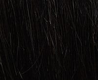 Gisela Mayer Remy Filler Light Long Haarteil 15 x 15 cm: 1b